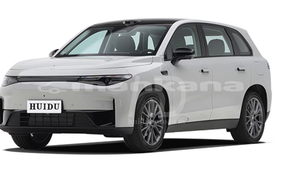 Buy New Lexus GX White Car in Tkvarcheli in Abhasia