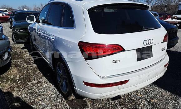 Buy Used Audi Q5 White Car in Tbilisi in Tbilisi Buy Used Audi Q5 White Car in Tbilisi in Tbilisi