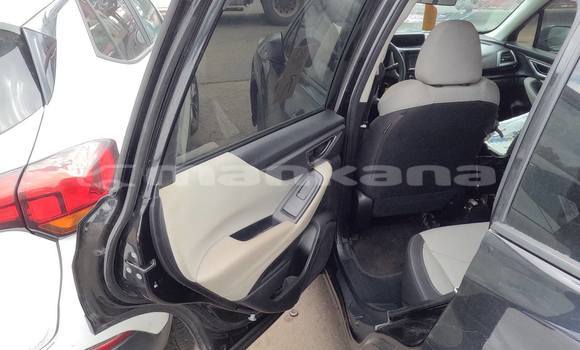 Buy Used Ecomotors Estrima Biro White Car in Tbilisi in Tbilisi Buy Used Ecomotors Estrima Biro White Car in Tbilisi in Tbilisi