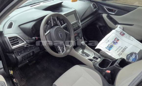 Buy Used Ecomotors Estrima Biro White Car in Tbilisi in Tbilisi Buy Used Ecomotors Estrima Biro White Car in Tbilisi in Tbilisi