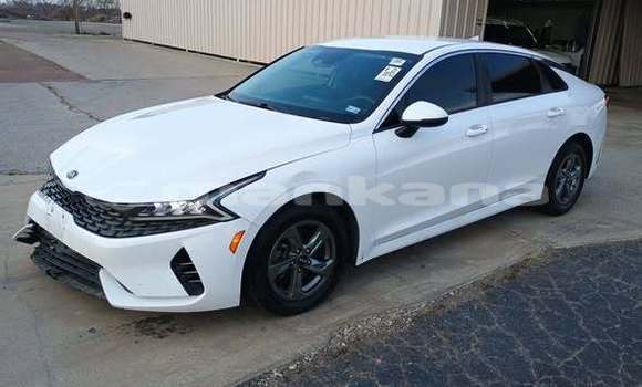 Buy Used Kia K5 White Car in Tbilisi in Tbilisi