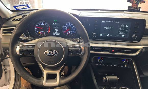 Buy Used Kia K5 White Car in Tbilisi in Tbilisi Buy Used Kia K5 White Car in Tbilisi in Tbilisi