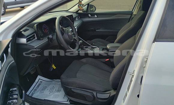 Buy Used Kia K5 White Car in Tbilisi in Tbilisi Buy Used Kia K5 White Car in Tbilisi in Tbilisi