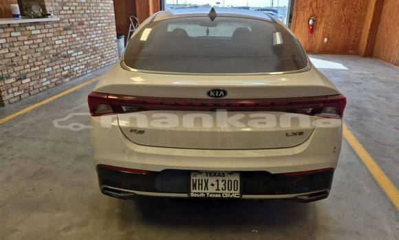 Buy Used Kia K5 White Car in Tbilisi in Tbilisi Buy Used Kia K5 White Car in Tbilisi in Tbilisi