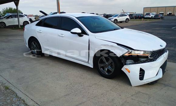 Buy Used Kia K5 White Car in Tbilisi in Tbilisi Buy Used Kia K5 White Car in Tbilisi in Tbilisi