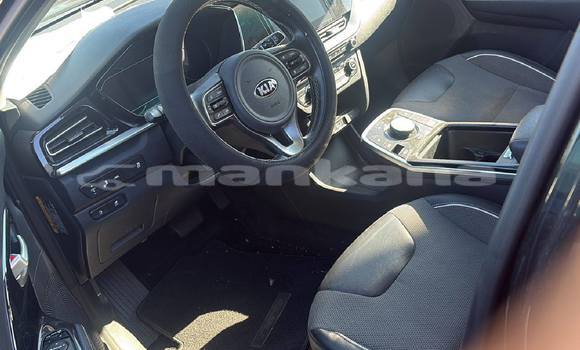 Buy Used Kia Niro Black Car in Tbilisi in Tbilisi Buy Used Kia Niro Black Car in Tbilisi in Tbilisi