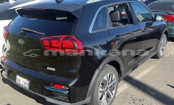 Buy Used Kia Niro Black Car in Tbilisi in Tbilisi Buy Used Kia Niro Black Car in Tbilisi in Tbilisi