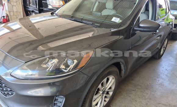 Buy Used Ford Escape Other Car in Tbilisi in Tbilisi