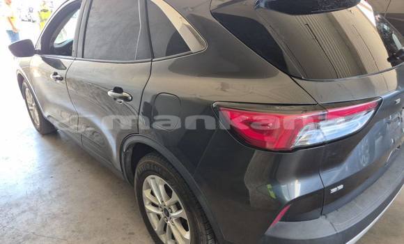 Buy Used Ford Escape Other Car in Tbilisi in Tbilisi Buy Used Ford Escape Other Car in Tbilisi in Tbilisi