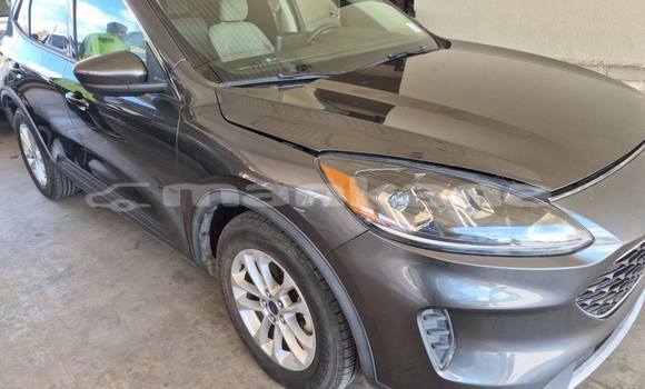 Buy Used Ford Escape Other Car in Tbilisi in Tbilisi Buy Used Ford Escape Other Car in Tbilisi in Tbilisi