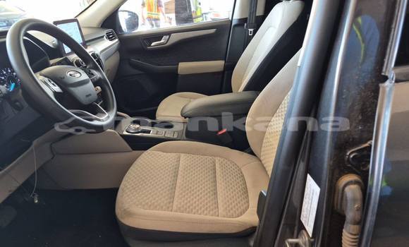 Buy Used Ford Escape Other Car in Tbilisi in Tbilisi Buy Used Ford Escape Other Car in Tbilisi in Tbilisi