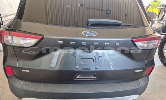 Buy Used Ford Escape Other Car in Tbilisi in Tbilisi Buy Used Ford Escape Other Car in Tbilisi in Tbilisi