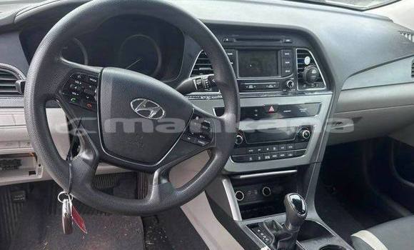 Buy Used Hyundai Sonata White Car in Tbilisi in Tbilisi