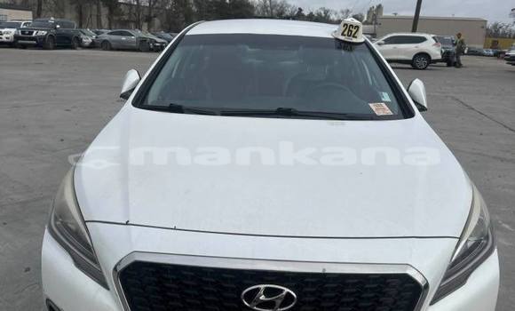 Buy Used Hyundai Sonata White Car in Tbilisi in Tbilisi Buy Used Hyundai Sonata White Car in Tbilisi in Tbilisi