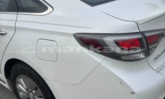 Buy Used Hyundai Sonata White Car in Tbilisi in Tbilisi Buy Used Hyundai Sonata White Car in Tbilisi in Tbilisi