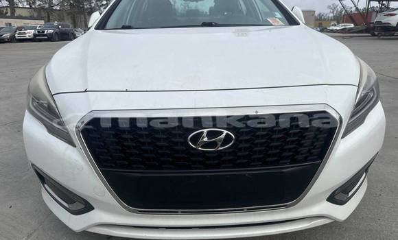 Buy Used Hyundai Sonata White Car in Tbilisi in Tbilisi Buy Used Hyundai Sonata White Car in Tbilisi in Tbilisi