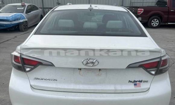 Buy Used Hyundai Sonata White Car in Tbilisi in Tbilisi Buy Used Hyundai Sonata White Car in Tbilisi in Tbilisi