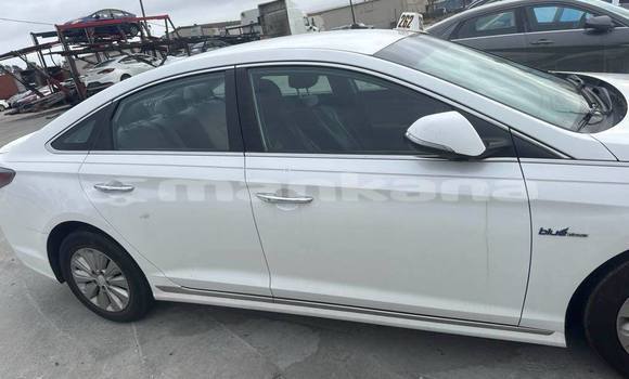 Buy Used Hyundai Sonata White Car in Tbilisi in Tbilisi Buy Used Hyundai Sonata White Car in Tbilisi in Tbilisi