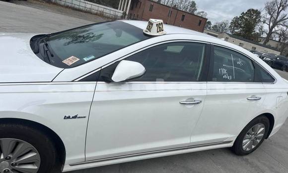 Buy Used Hyundai Sonata White Car in Tbilisi in Tbilisi Buy Used Hyundai Sonata White Car in Tbilisi in Tbilisi