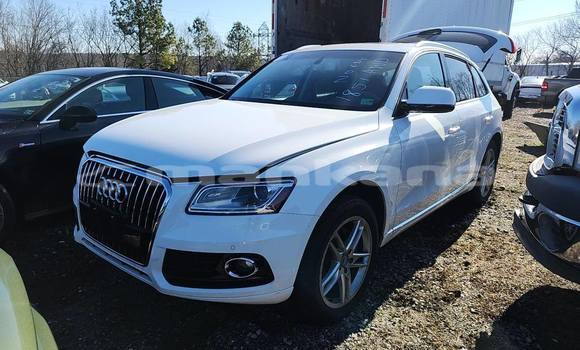 Buy Used Audi Q5 White Car in Tbilisi in Tbilisi