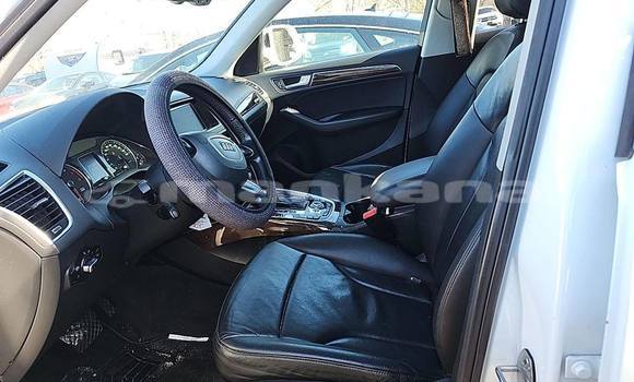 Buy Used Audi Q5 White Car in Tbilisi in Tbilisi Buy Used Audi Q5 White Car in Tbilisi in Tbilisi