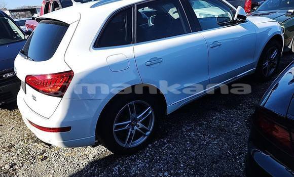 Buy Used Audi Q5 White Car in Tbilisi in Tbilisi Buy Used Audi Q5 White Car in Tbilisi in Tbilisi