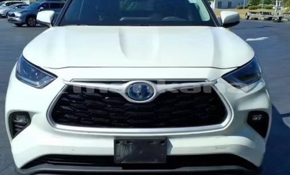Buy Used Toyota Highlander White Car in Tbilisi in Tbilisi