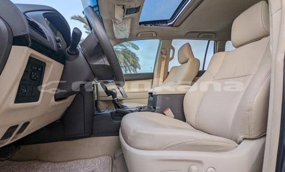 Buy Used Toyota Land Cruiser Prado Other Car in Tbilisi in Tbilisi Buy Used Toyota Land Cruiser Prado Other Car in Tbilisi in Tbilisi