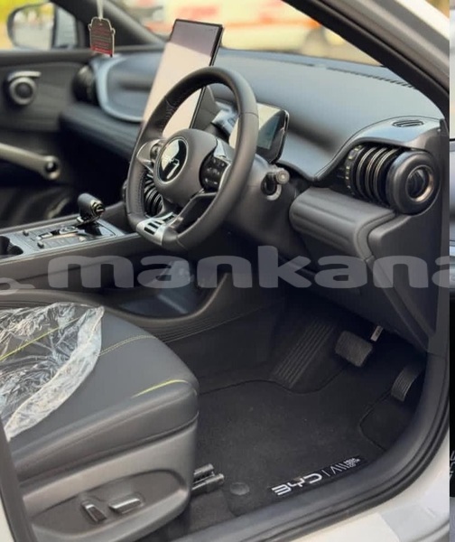 Big with watermark byd f3 tbilisi tbilisi 8168