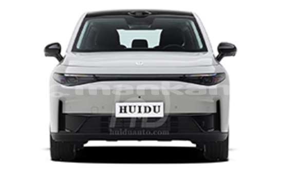 Buy New LTI TX White Car in Vale in Samche-Zhavaheti Buy New LTI TX White Car in Vale in Samche-Zhavaheti