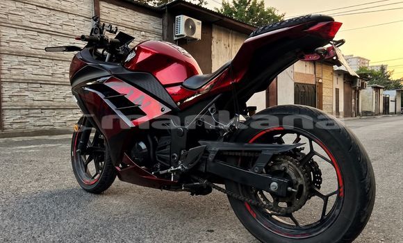 Buy Used Kawasaki Ninja Red Bike in Tbilisi in Tbilisi Buy Used Kawasaki Ninja Red Bike in Tbilisi in Tbilisi