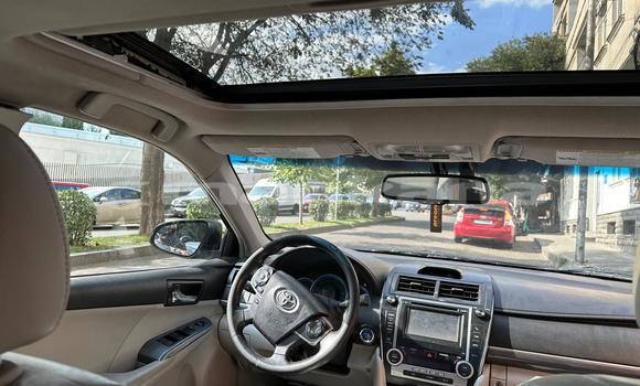 Buy Used Toyota Camry Black Car in Tbilisi in Tbilisi