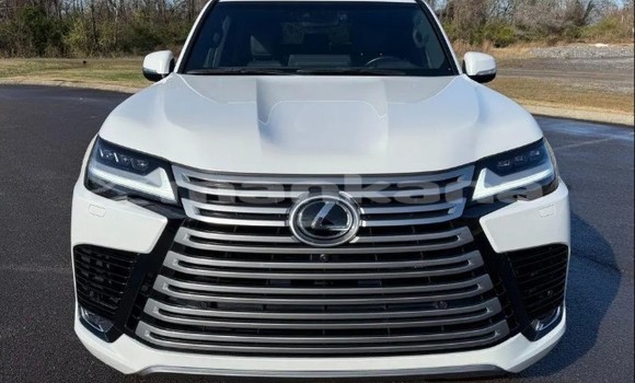 Buy Used Lexus LX White Car in Gagra in Abhasia