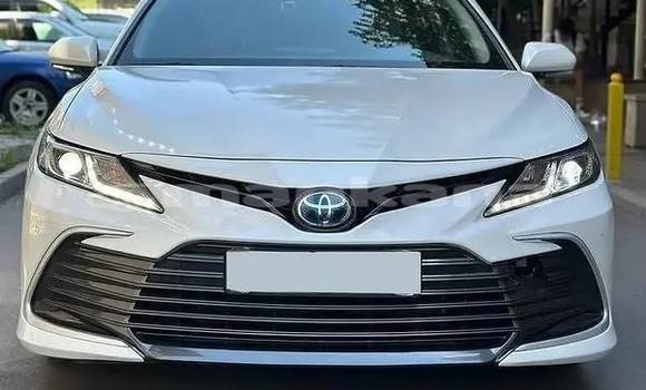 Buy Used Toyota Camry White Car in Tbilisi in Tbilisi