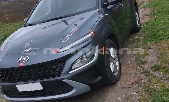 Buy Used Hyundai Kona Other Car in Batumi in Ajaria