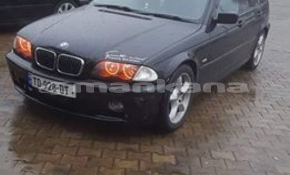 Medium with watermark 46710872 358904134880631 5509887031481729024 n