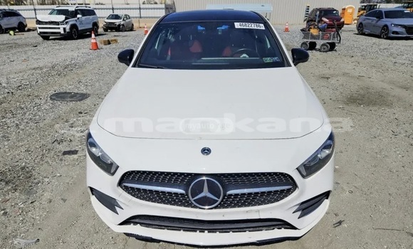 Buy Used Mercedes Viano White Car in Batumi in Ajaria