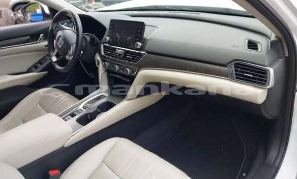 Buy Used Honda Accord White Car in Tbilisi in Tbilisi Buy Used Honda Accord White Car in Tbilisi in Tbilisi