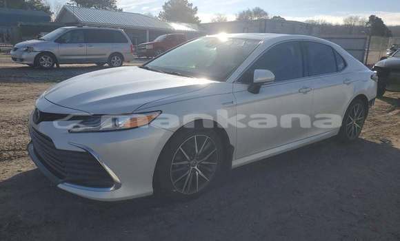 Buy Used Toyota Camry White Car in Tbilisi in Tbilisi Buy Used Toyota Camry White Car in Tbilisi in Tbilisi