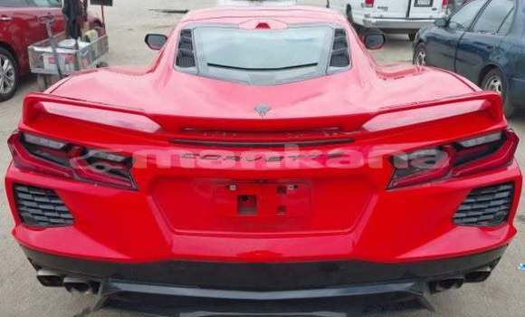 Buy Used Chevrolet Corvette Red Car in Tbilisi in Tbilisi