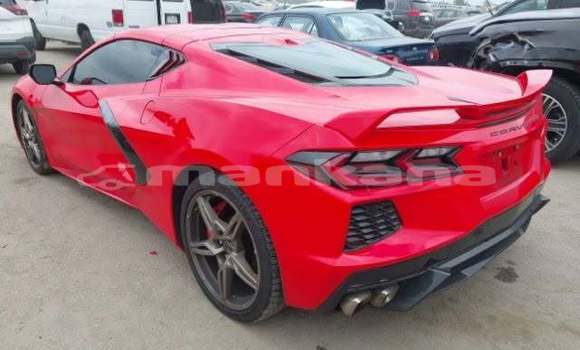 Buy Used Chevrolet Corvette Red Car in Tbilisi in Tbilisi Buy Used Chevrolet Corvette Red Car in Tbilisi in Tbilisi