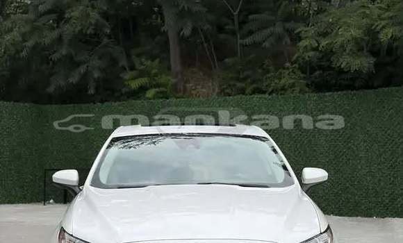 Buy Used Ford Fusion White Car in Tbilisi in Tbilisi Buy Used Ford Fusion White Car in Tbilisi in Tbilisi