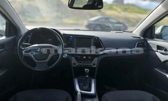 Buy Used Hyundai Elantra Other Car in Tbilisi in Tbilisi Buy Used Hyundai Elantra Other Car in Tbilisi in Tbilisi