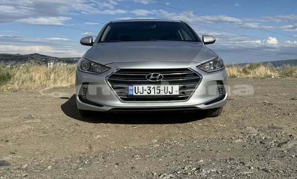 Buy Used Hyundai Elantra Other Car in Tbilisi in Tbilisi Buy Used Hyundai Elantra Other Car in Tbilisi in Tbilisi