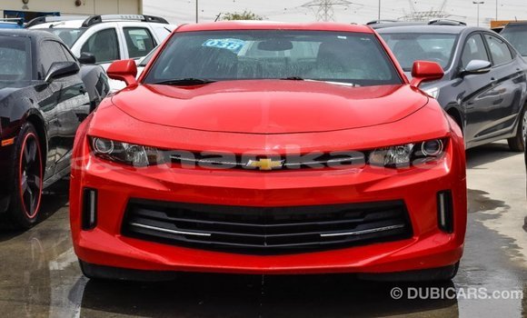 Buy Import Chevrolet Camaro Red Car in Import - Dubai in Abhasia Buy Import Chevrolet Camaro Red Car in Import - Dubai in Abhasia
