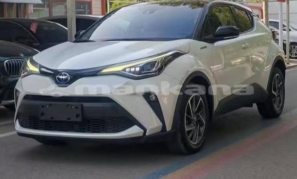 Buy Used Toyota C-HR White Car in Tbilisi in Tbilisi