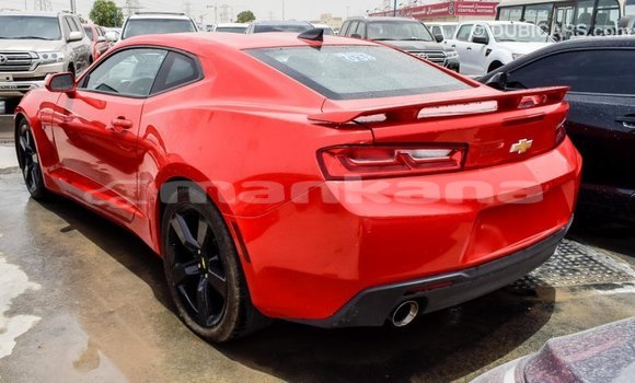 Buy Import Chevrolet Camaro Red Car in Import - Dubai in Abhasia Buy Import Chevrolet Camaro Red Car in Import - Dubai in Abhasia