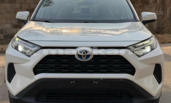 Buy Used Toyota RAV4 White Car in Tbilisi in Tbilisi