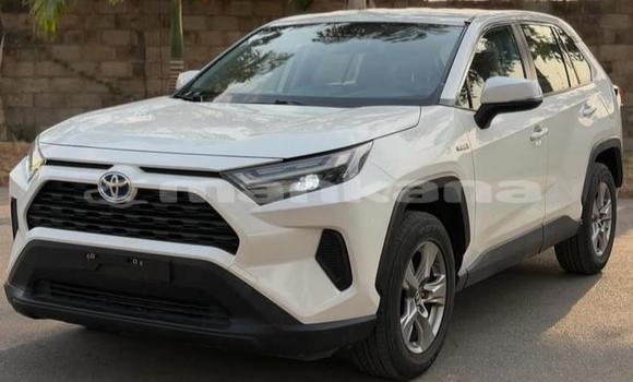 Buy Used Toyota RAV4 White Car in Tbilisi in Tbilisi Buy Used Toyota RAV4 White Car in Tbilisi in Tbilisi