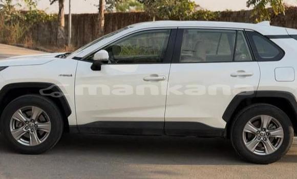 Buy Used Toyota RAV4 White Car in Tbilisi in Tbilisi Buy Used Toyota RAV4 White Car in Tbilisi in Tbilisi